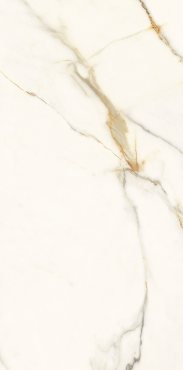 Time Dorado Polished 12 x 24